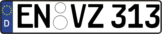 EN-VZ313