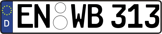 EN-WB313