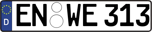 EN-WE313
