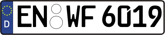 EN-WF6019