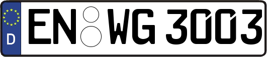 EN-WG3003