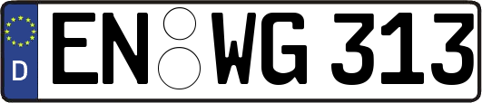 EN-WG313
