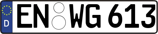 EN-WG613