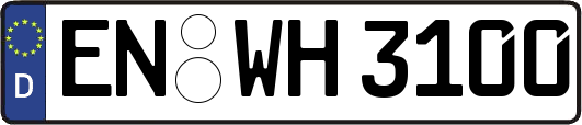 EN-WH3100