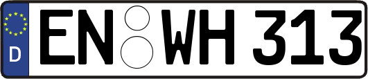 EN-WH313
