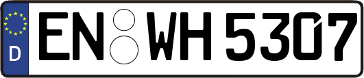 EN-WH5307