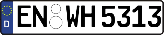 EN-WH5313