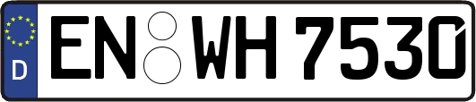 EN-WH7530