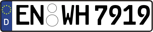 EN-WH7919