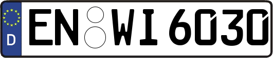 EN-WI6030