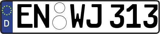 EN-WJ313