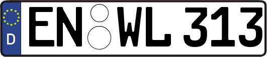 EN-WL313