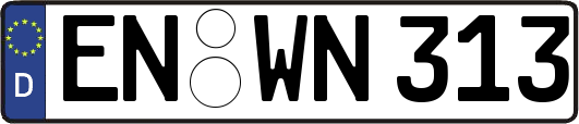 EN-WN313