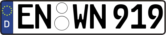 EN-WN919