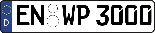 EN-WP3000