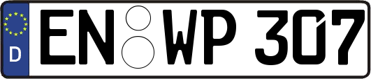 EN-WP307