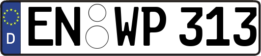EN-WP313