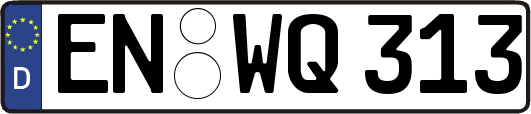 EN-WQ313