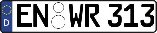 EN-WR313
