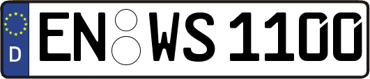 EN-WS1100