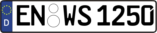 EN-WS1250