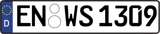 EN-WS1309
