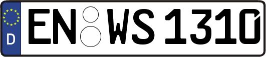 EN-WS1310