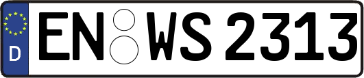 EN-WS2313