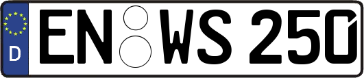 EN-WS250