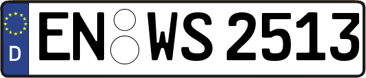 EN-WS2513