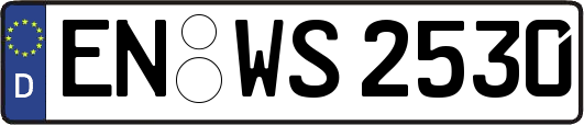 EN-WS2530