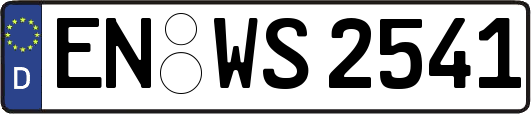 EN-WS2541