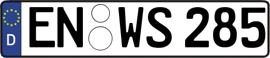 EN-WS285