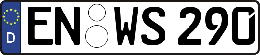 EN-WS290