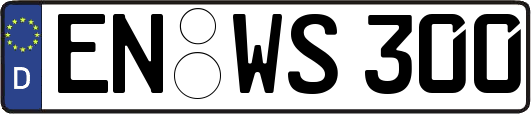 EN-WS300