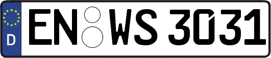 EN-WS3031