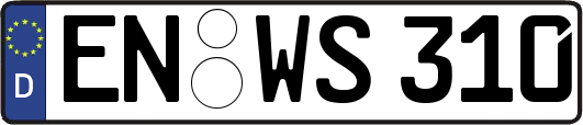 EN-WS310