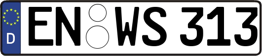 EN-WS313