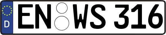 EN-WS316