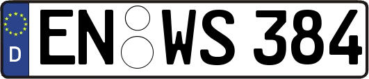 EN-WS384