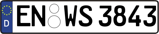 EN-WS3843