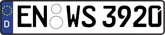 EN-WS3920