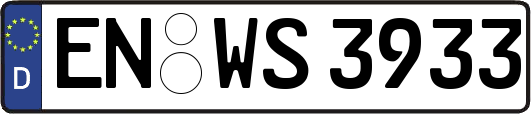 EN-WS3933