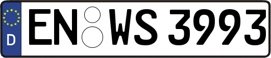 EN-WS3993