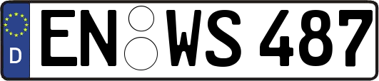 EN-WS487