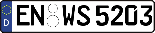 EN-WS5203