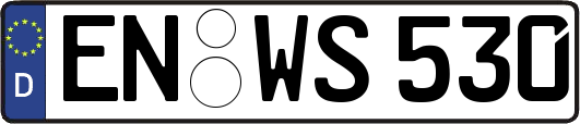 EN-WS530