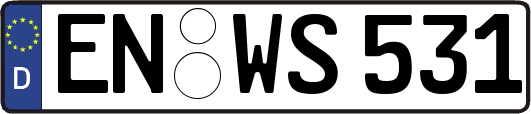 EN-WS531