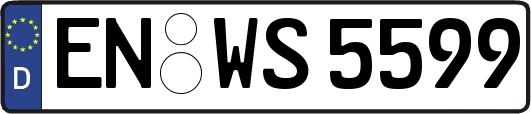 EN-WS5599