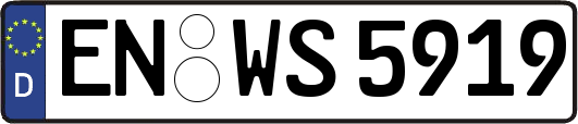 EN-WS5919